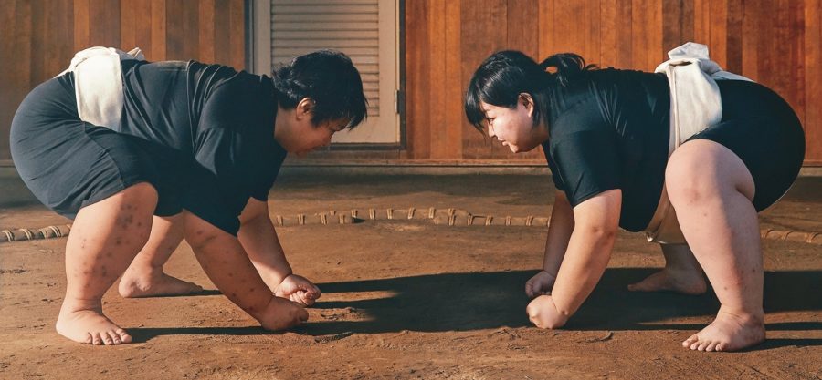 日本相撲少女 挑戰傳統