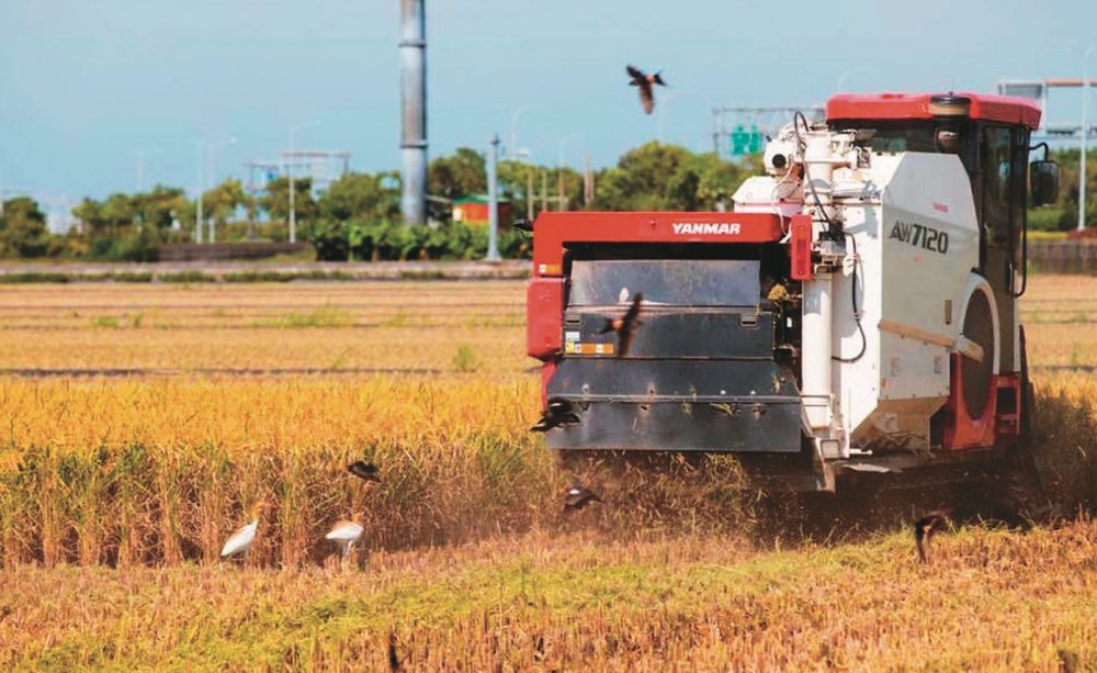 暖化讓水稻減產 旱澇災害也會增加