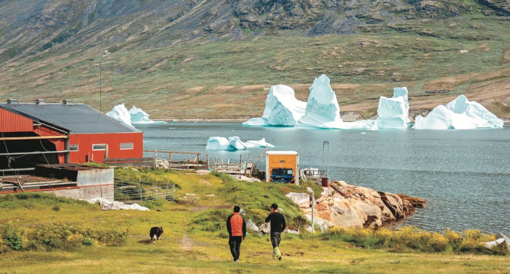 牧羊人庫努克.尼爾森的農場，位於格陵蘭南部峽灣底，海上漂著巨大浮冰，在夏天逐漸融化。記者陳靖宜_攝影