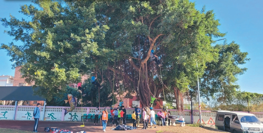 「上杉夏海本然教育團隊」到金門古寧國小舉辦「攀樹體驗一日營隊」，小朋友反應熱烈。圖／古寧國小提供