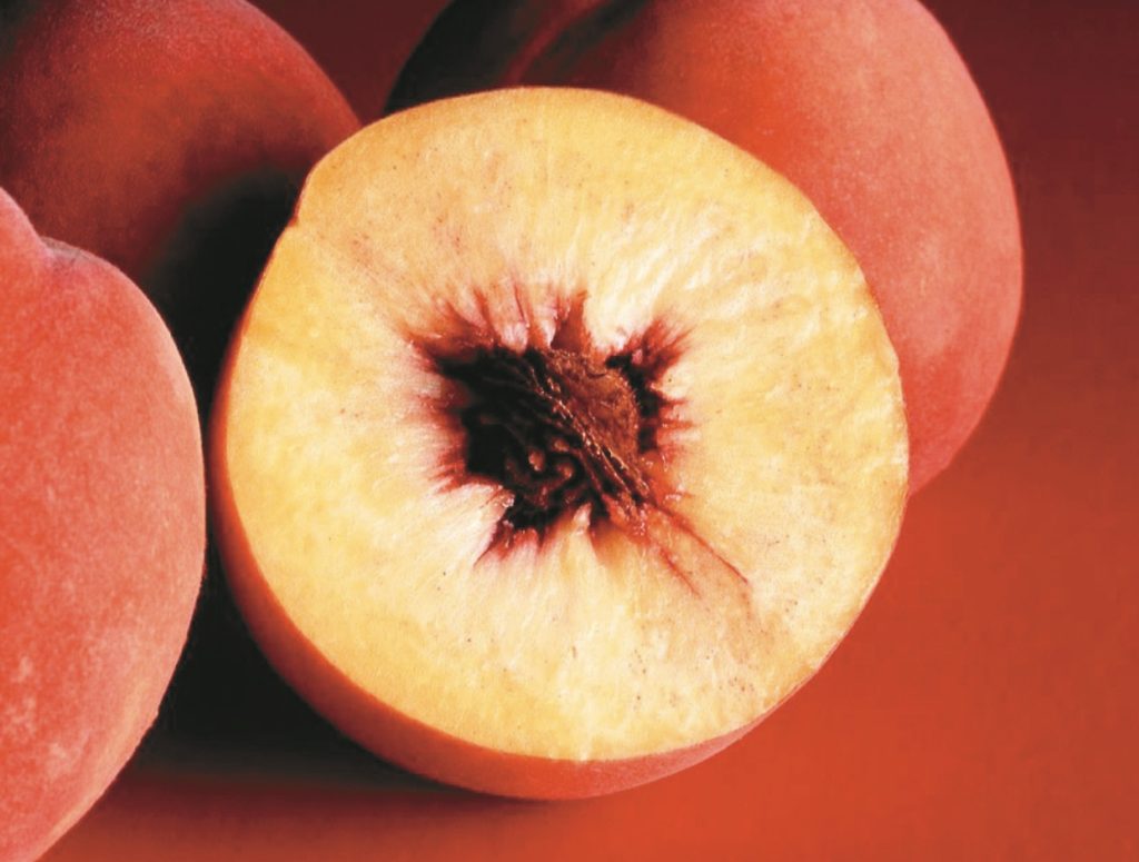 核果是由單一子房發育來的果實，通常吃到最後會有一顆硬梆梆的東西。