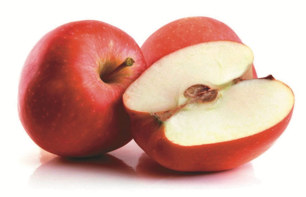 蘋果果實是中間果核的部位，平常食用的部位-其實是花托發育來的。