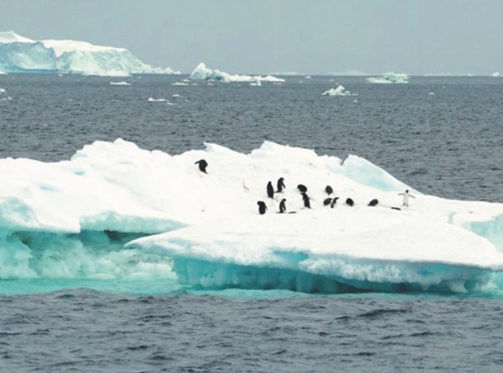 南極周圍海冰在今年冬天已創下新低。圖／路透
