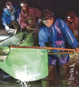 自然快易通「鰻魚完全養殖」