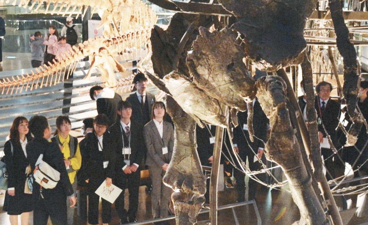 福井大學成立恐龍學系