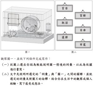 114會考作文：國文師「透過倉鼠寫人生」