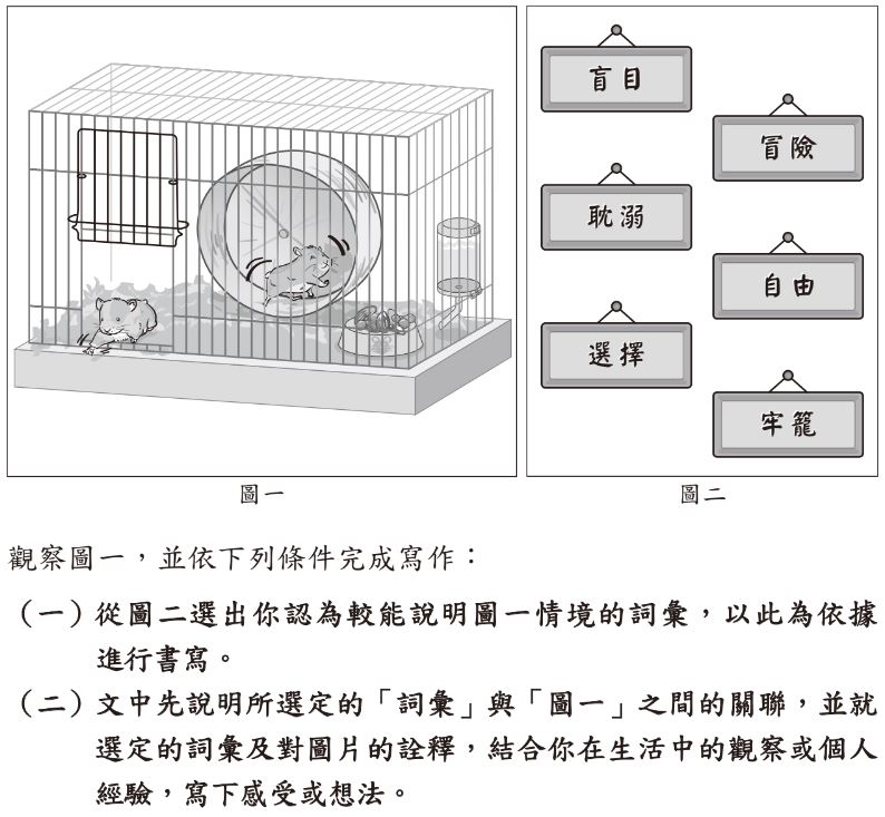 114會考作文：國文師「透過倉鼠寫人生」