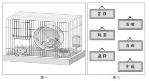 國中會考 寫出意象與概念的惡連結