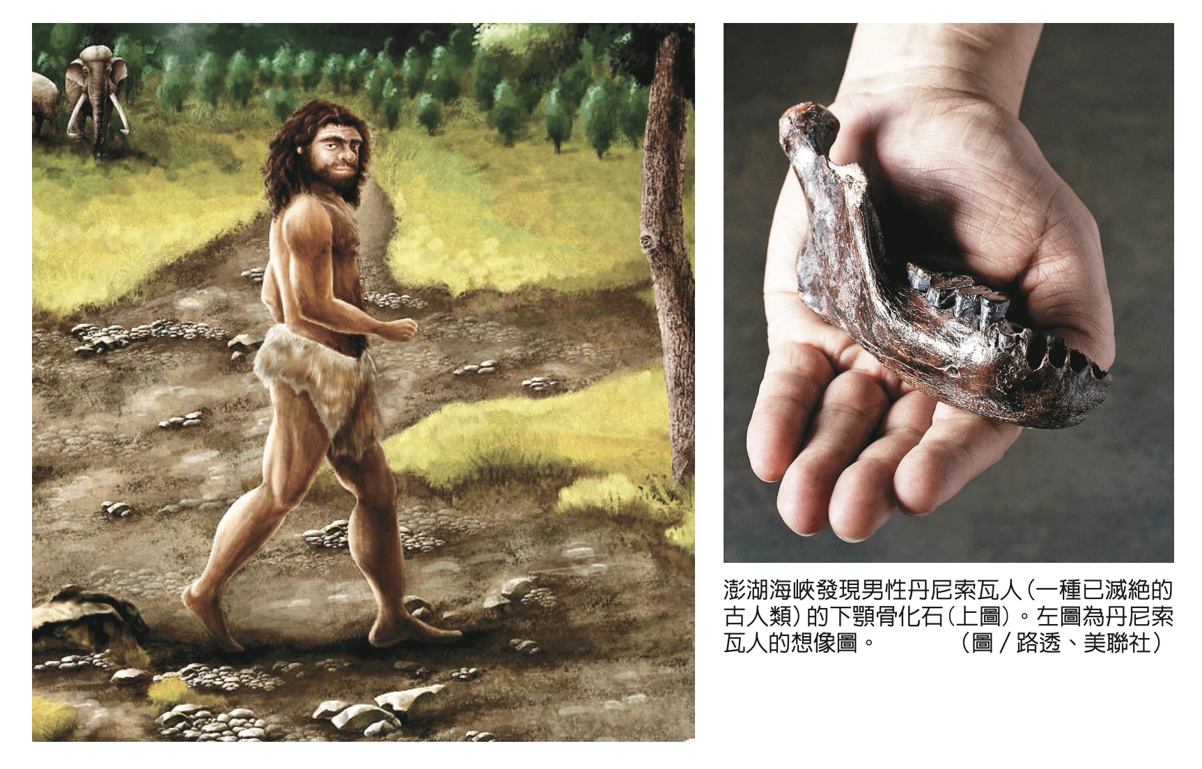 台灣發現古人類