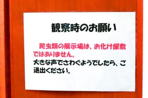 828期2025-6-30 安靜之必要