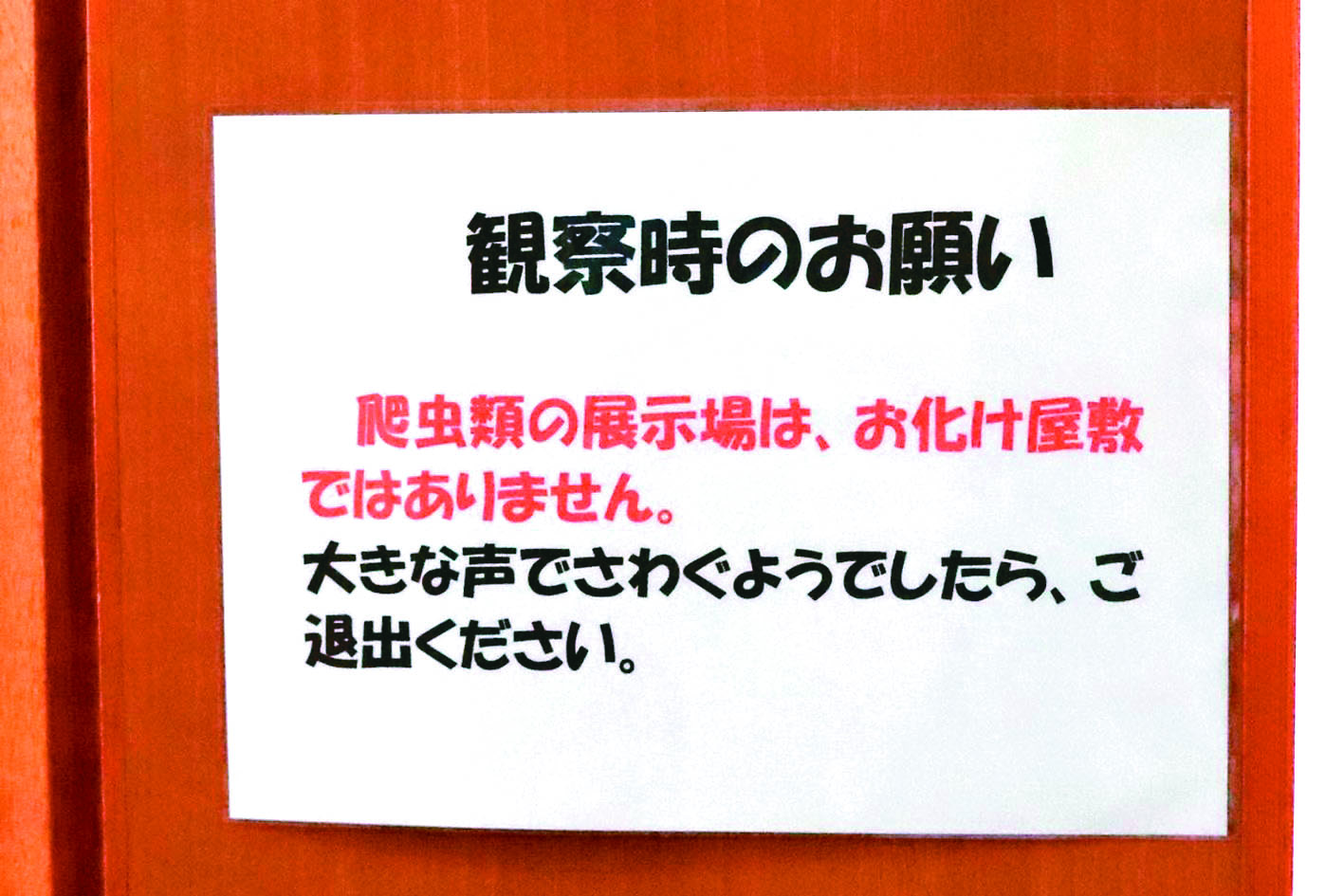 828期2025-6-30 安靜之必要