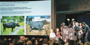 黑白條紋可以防叮咬？