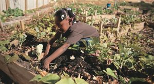 美最年輕農民 10歲討論微生物