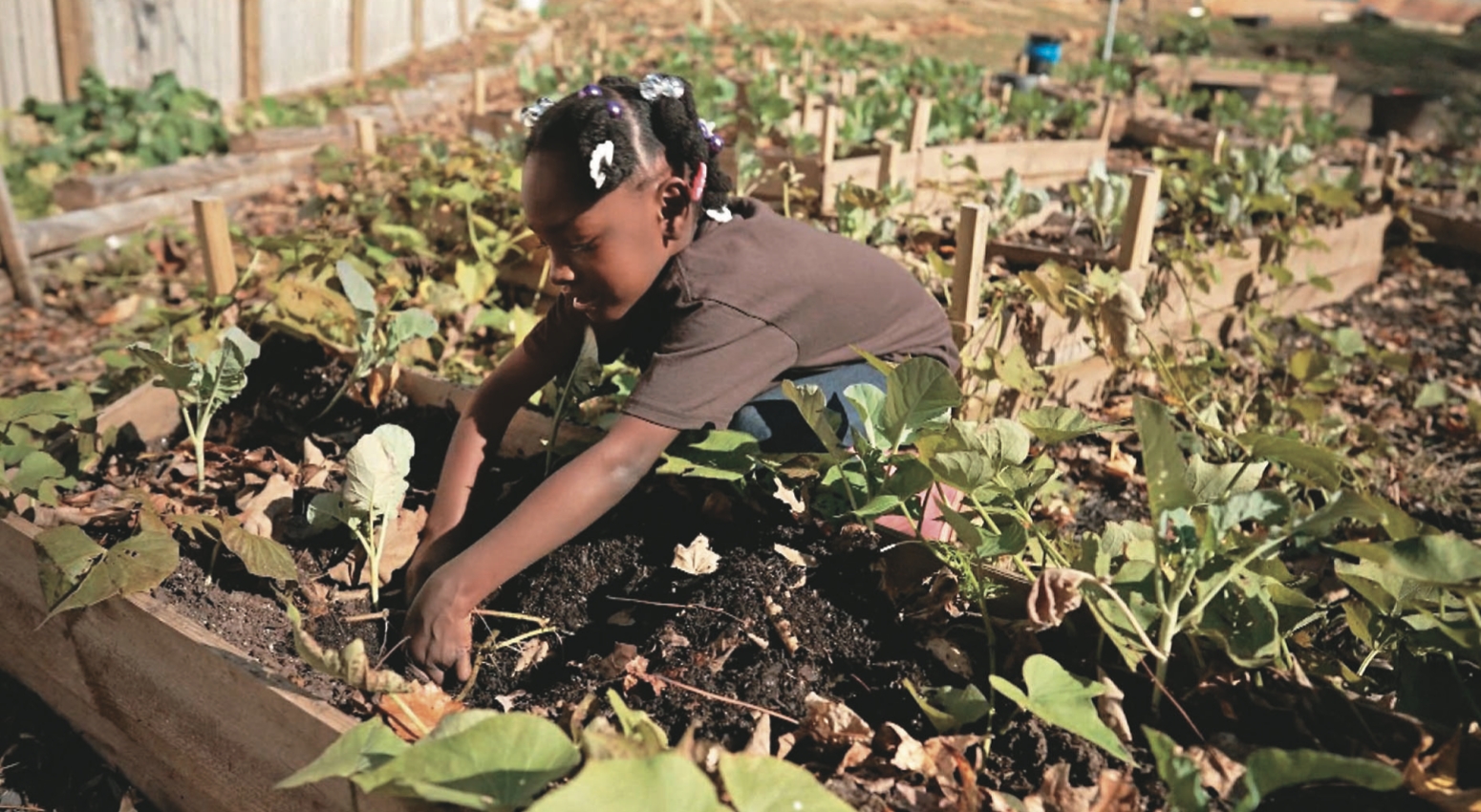 美最年輕農民 10歲討論微生物