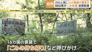 16國語言擋亂象