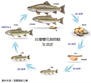 自然快易通「國寶魚復育」