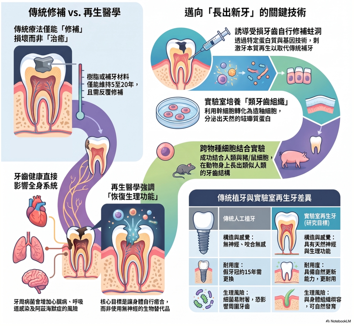 如果牙齒壞了能再生……
